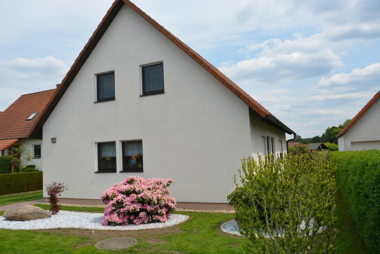 Ferienwohnung Starke Gablenz Exteriör bild